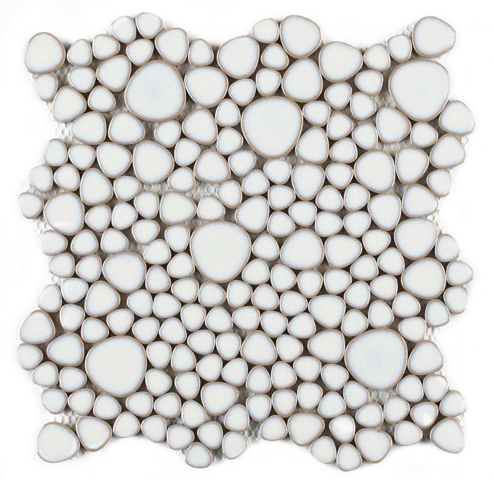 Growing Fancy White 11.5 X 11.5