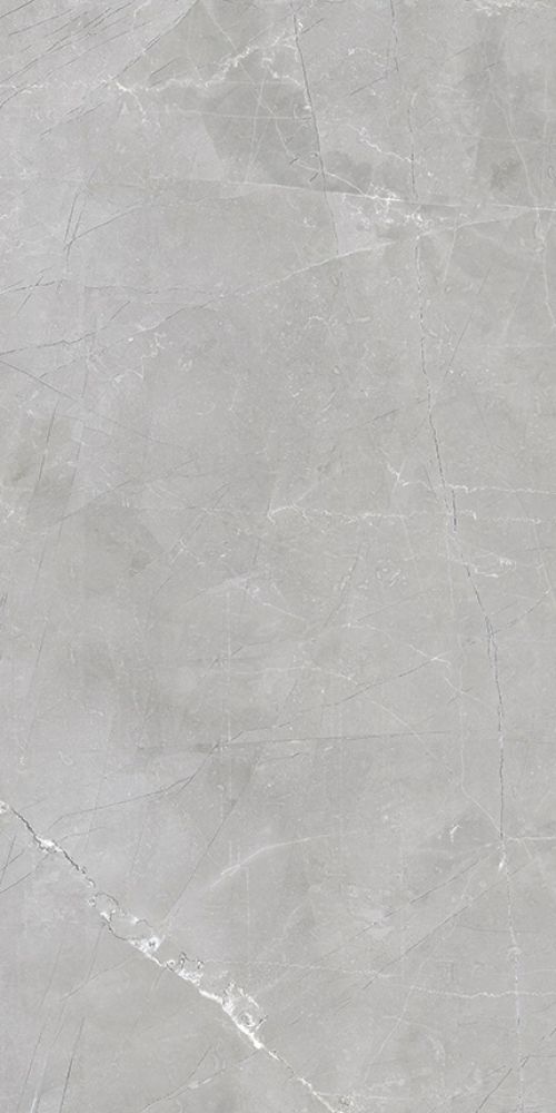 Luxury Amani Grey Polished 12 X 24