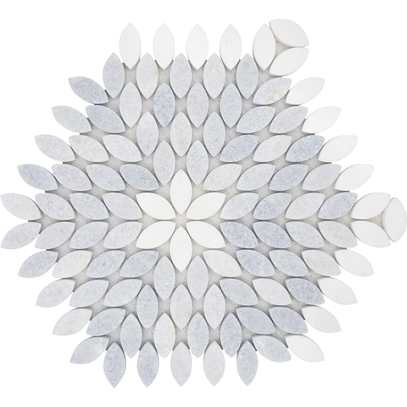Palikir 10.86 X 9.41