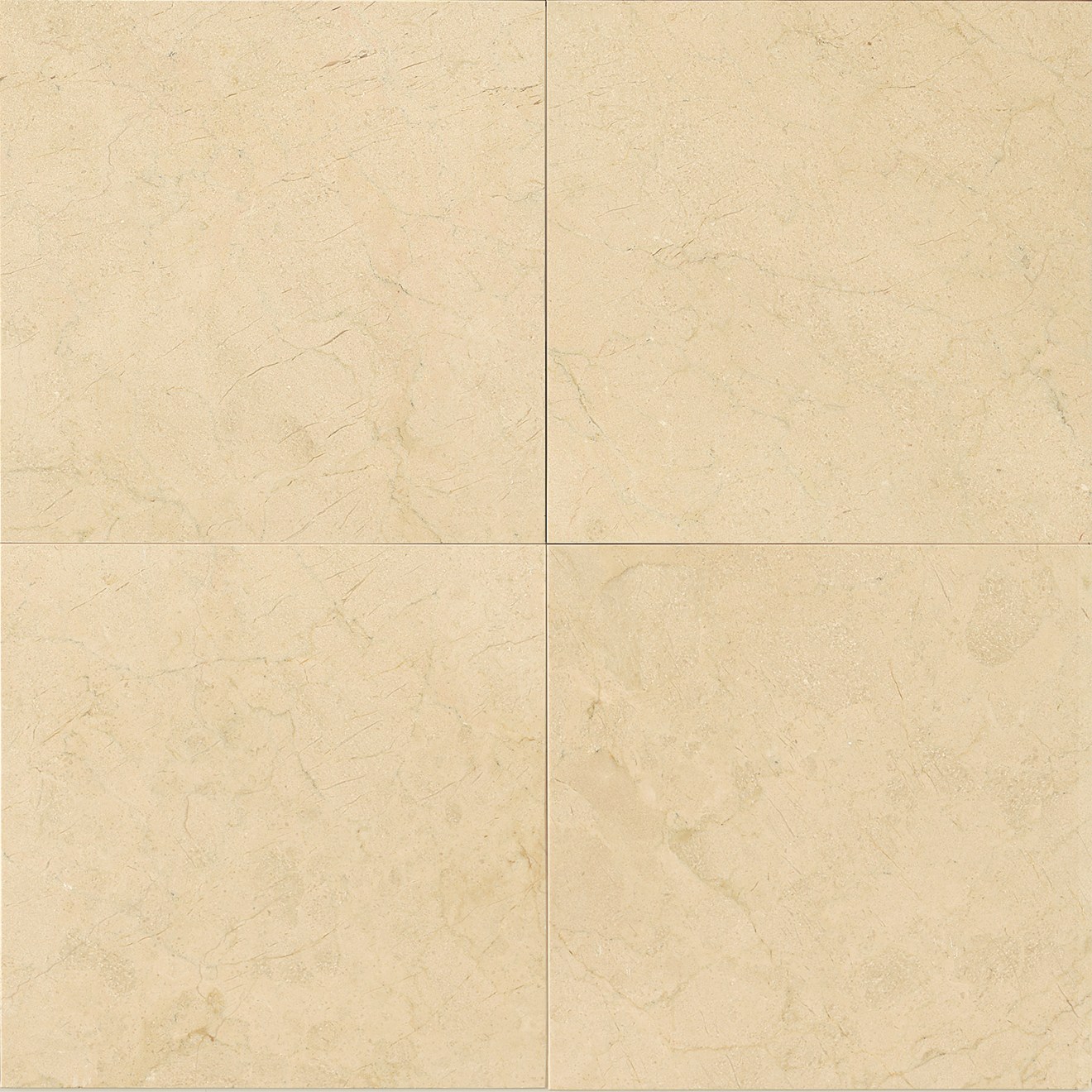 Crema Marfil Select 24" x 24" Wall Tile