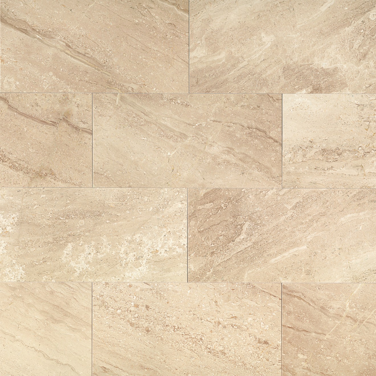 Daino Reale 12" x 24" Floor & Wall Tile