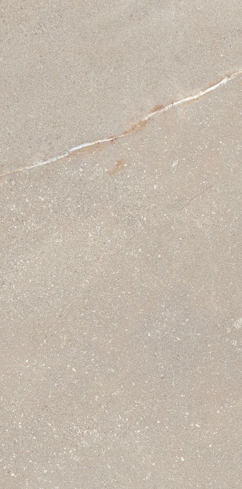 Madison Bone 12 X 24
