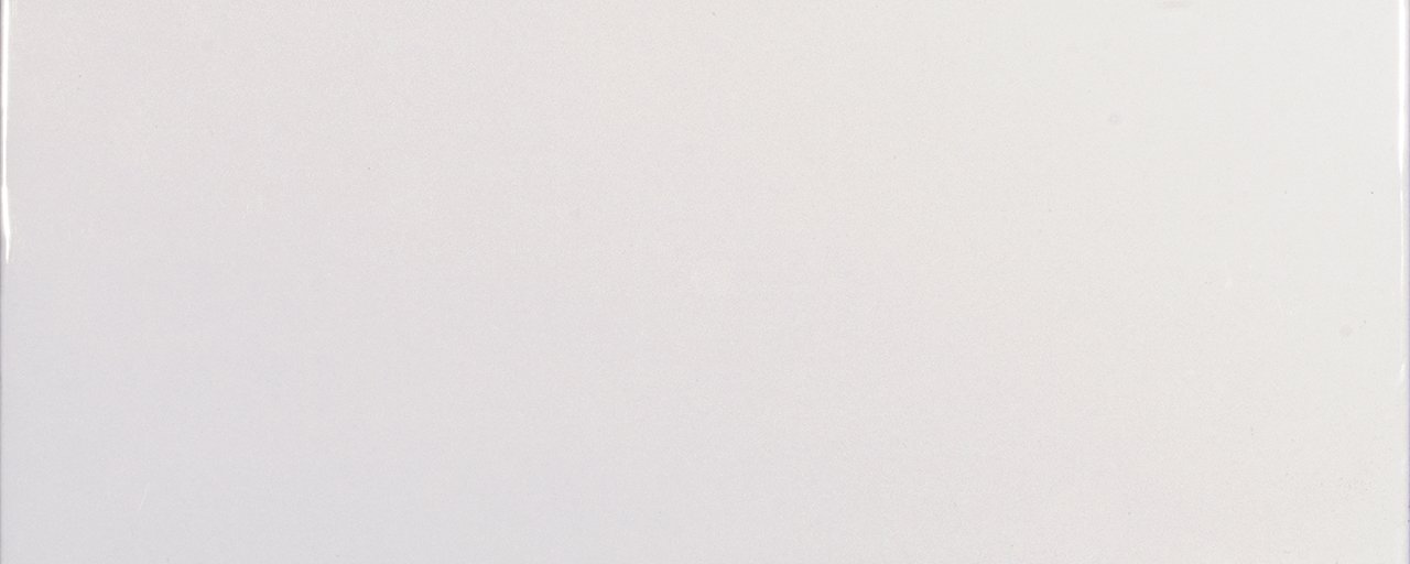 Maiolica Matte White 4X10