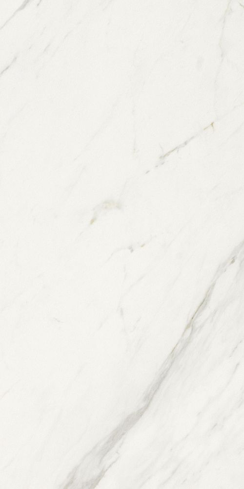 Marmi Calacatta Levigato 12 X 24