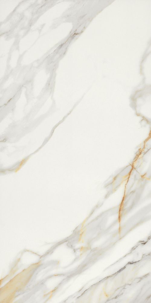 Marmi Macchiavecchia Levigato 24 X 48