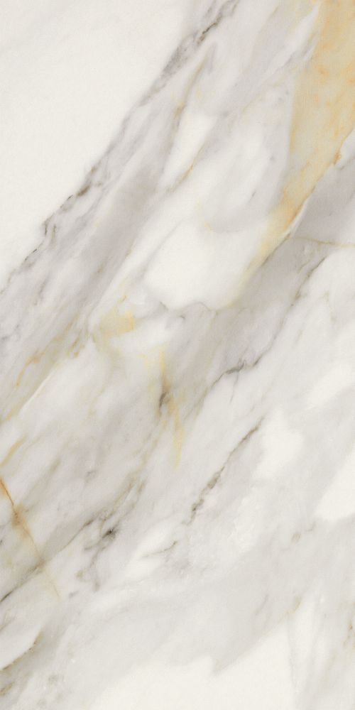 Marmi Macchiavecchia Matte 12 X 24