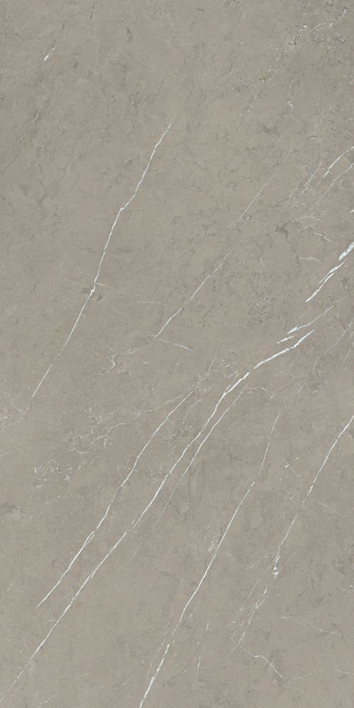 Mountain Grey Matte 24 X 48
