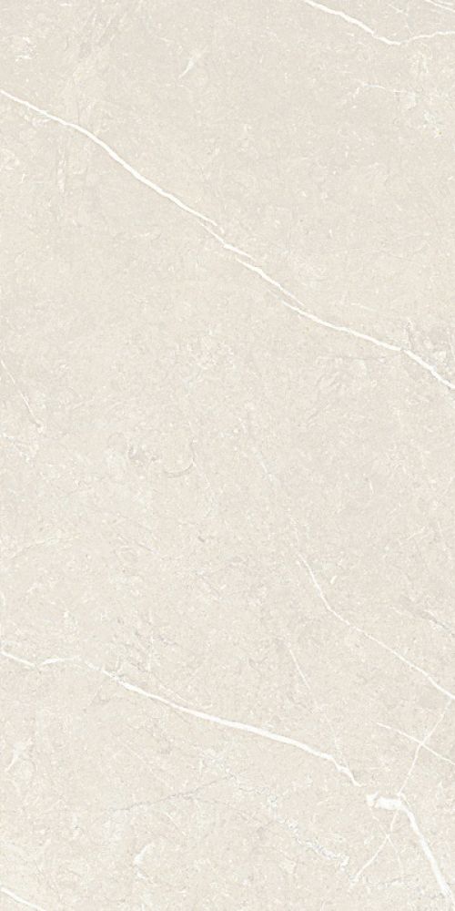 Mountain White Matte 12 X 24