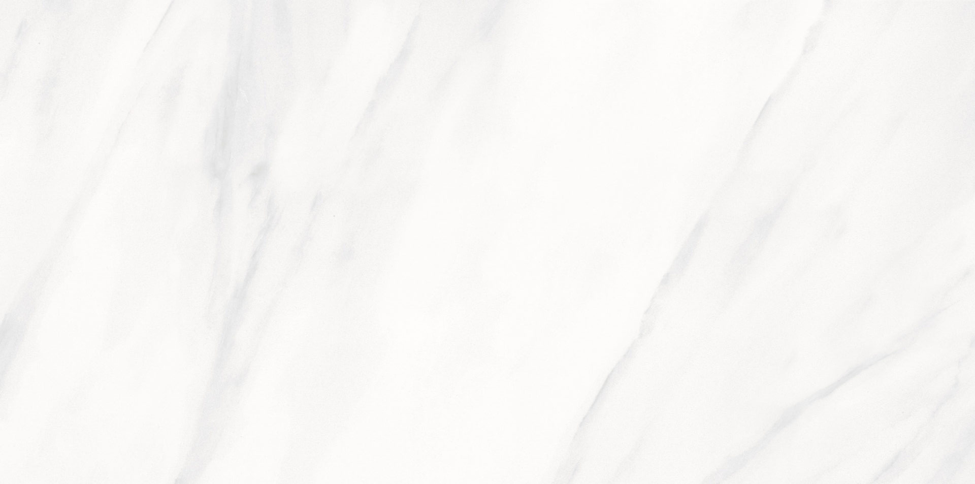 Carrara White 12X24