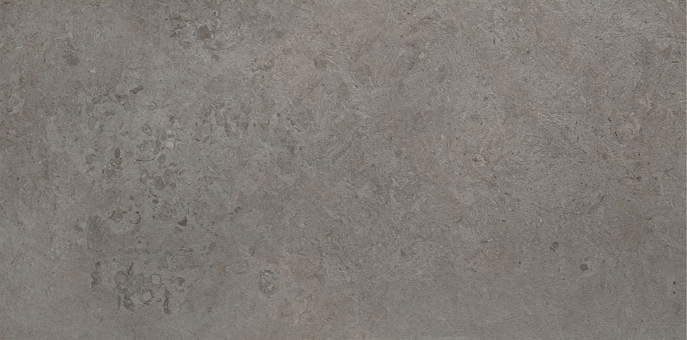 Limestone Vison 12"X24" R