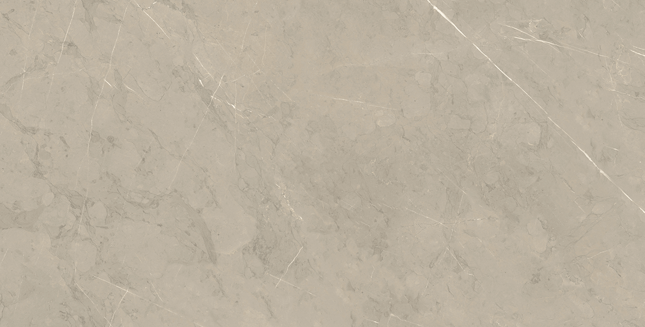 Piasentina Ii Silver Up 12X24 R