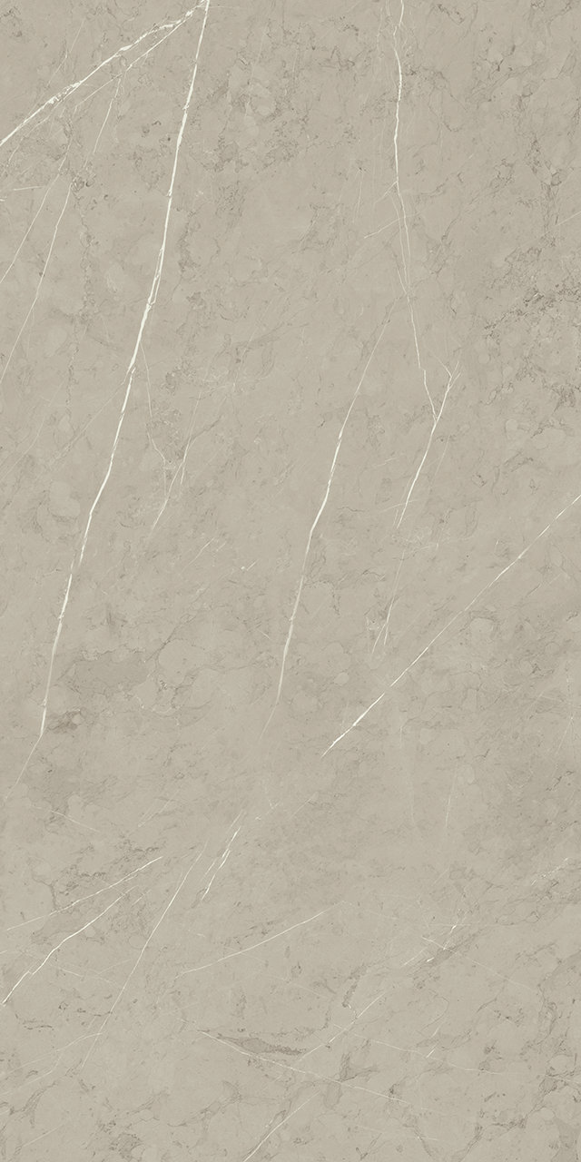 Piasentina Ii Up Silver 24X48 R