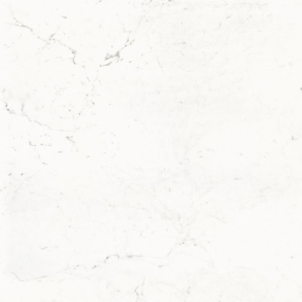 Pure Carrara Nat 48 X 48