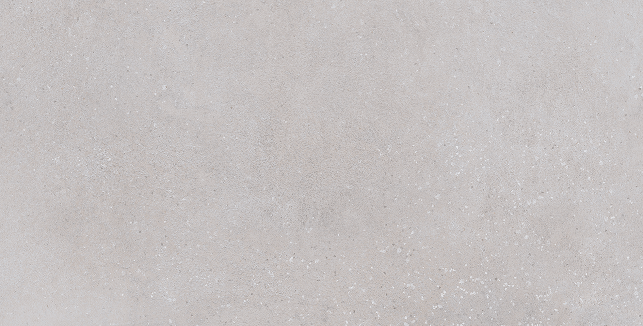 Pro Max Cement 12X24 Abs