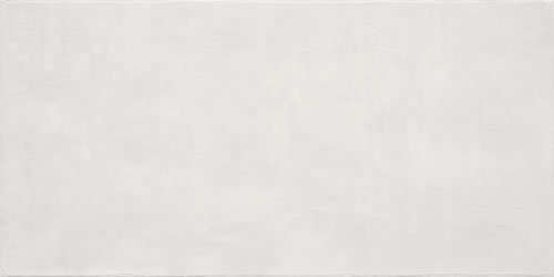 Plaster Blanco 24X48R