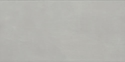 Plaster Gris 12X24R