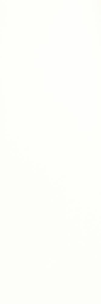 Poland White Polished 12 X 24