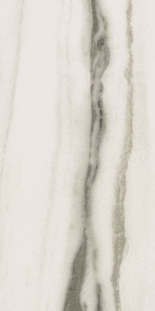 Prexious White Fantasy Matte 24 X 48