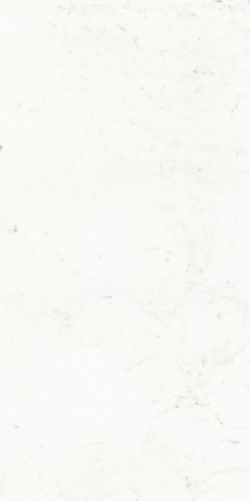 Pure Carrara Lux 24 X 48