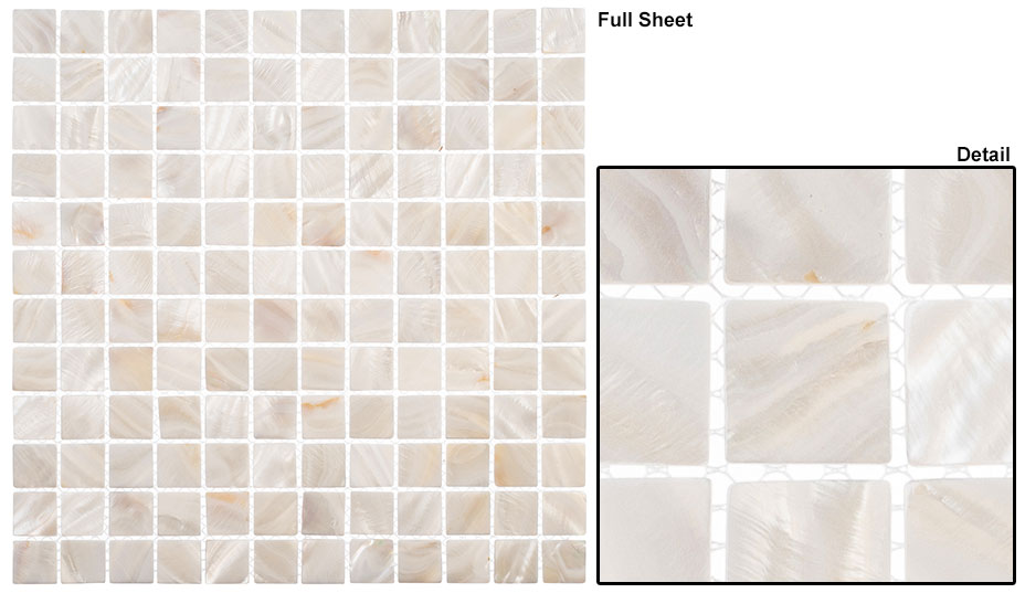 White Shell Shell