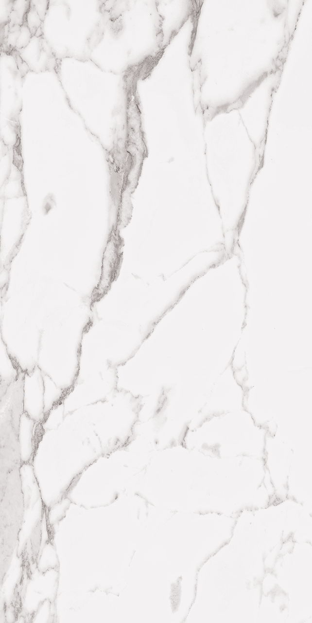 Statuary White 24X48 R Up