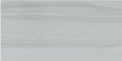 Serpentino Gris 12X24