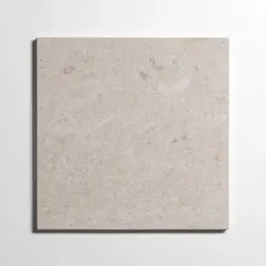 Sierra Limestone 12"x12"