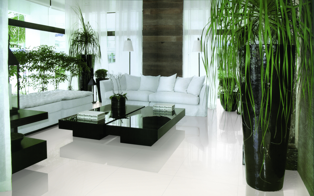 Super White Polished 12 X 24