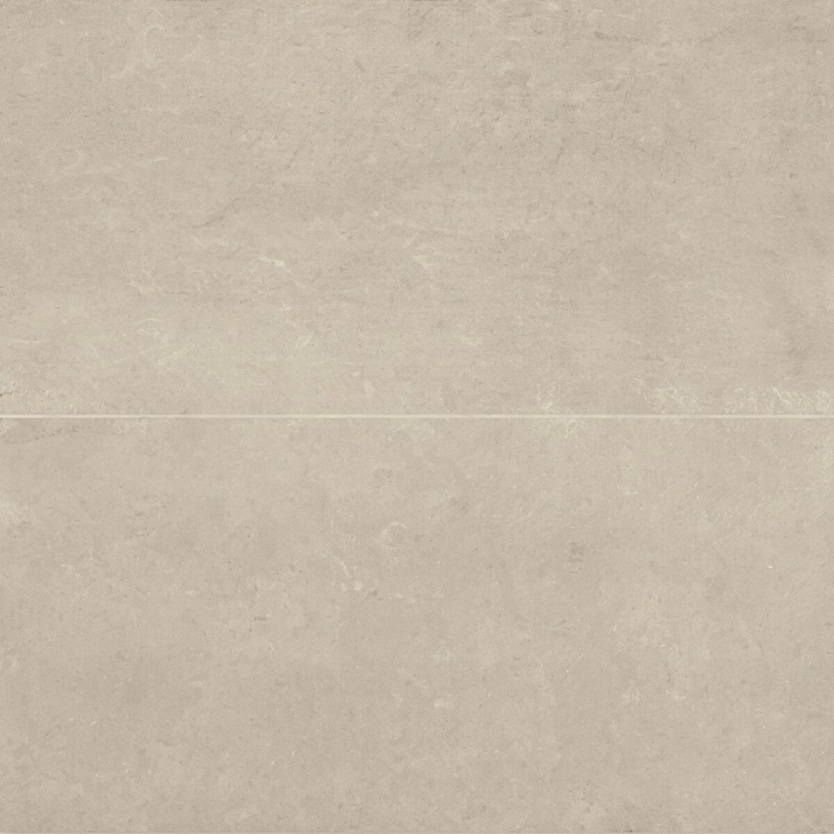 Thaddeus 24" x 48" Matte Porcelain Tile in Almond