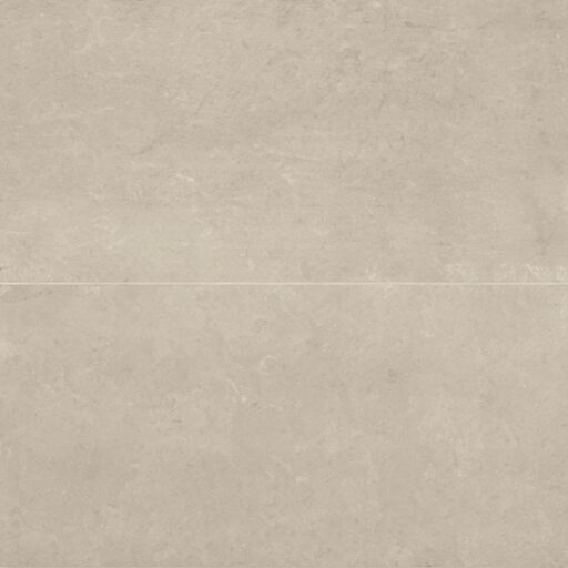 Thaddeus 24" x 48" Matte Porcelain Tile in Almond