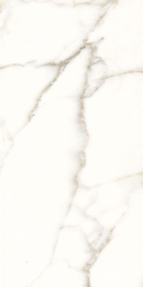 Trilogy Calacatta White Soft 12 X 24