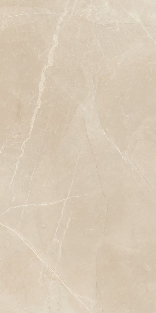 Trilogy Moon Beige Lux 24 X 48