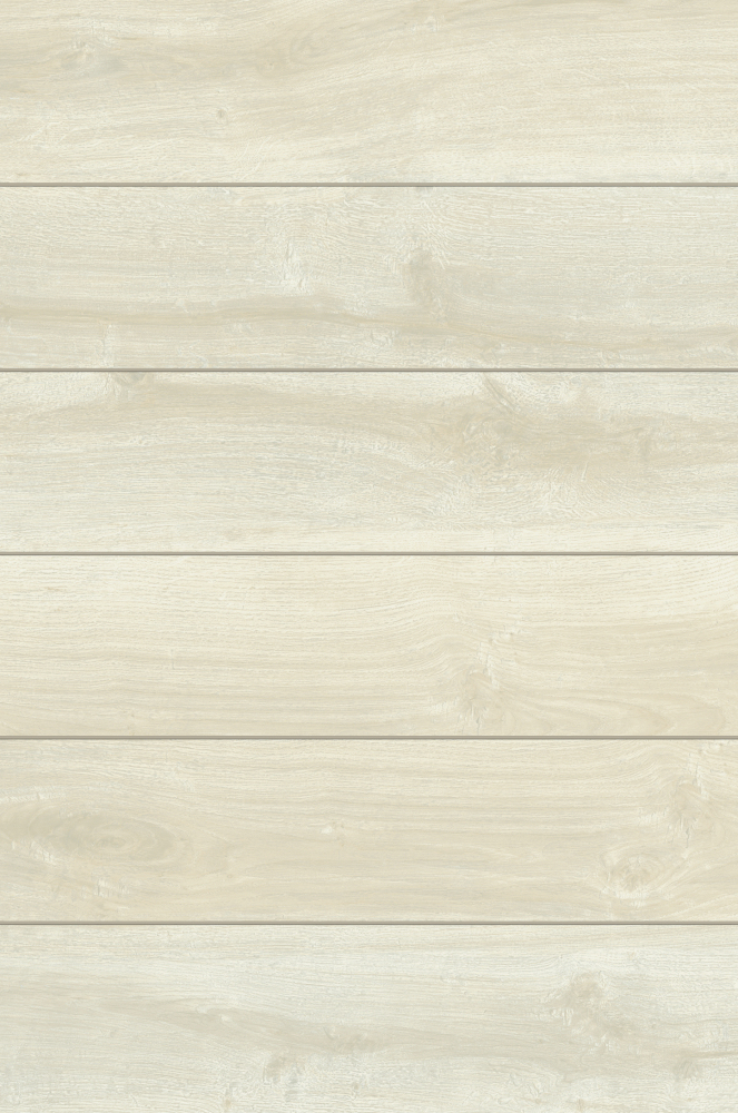 Urban Wood White Birch 6 X 36