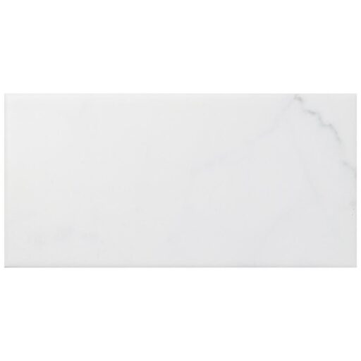 Classico Carrara Matte 3"x6" Ceramic W Tile