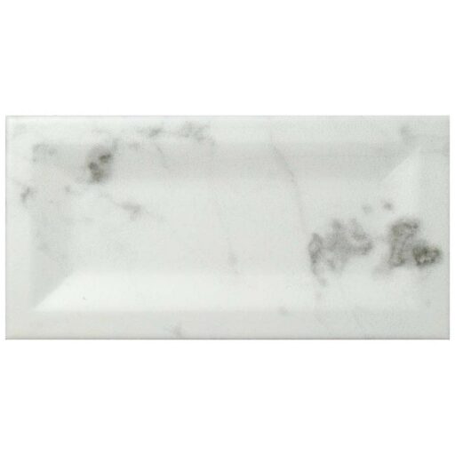 Classico Carrara Matte Inmetro 3"x6" Ceramic W Tile
