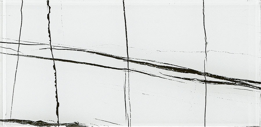 December Tracks Yosemite