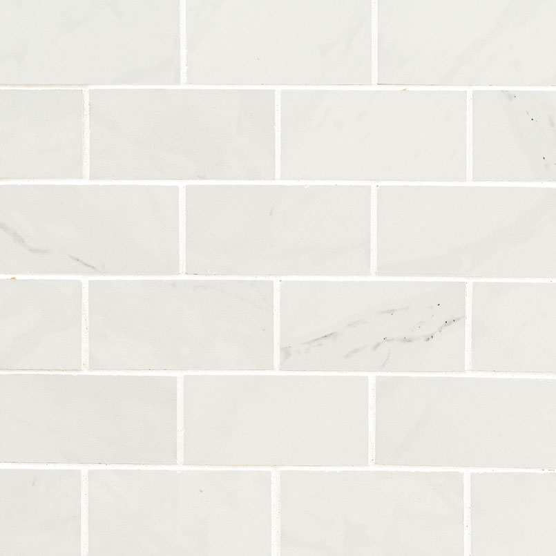 Aria Ice 2X4 Mosaic