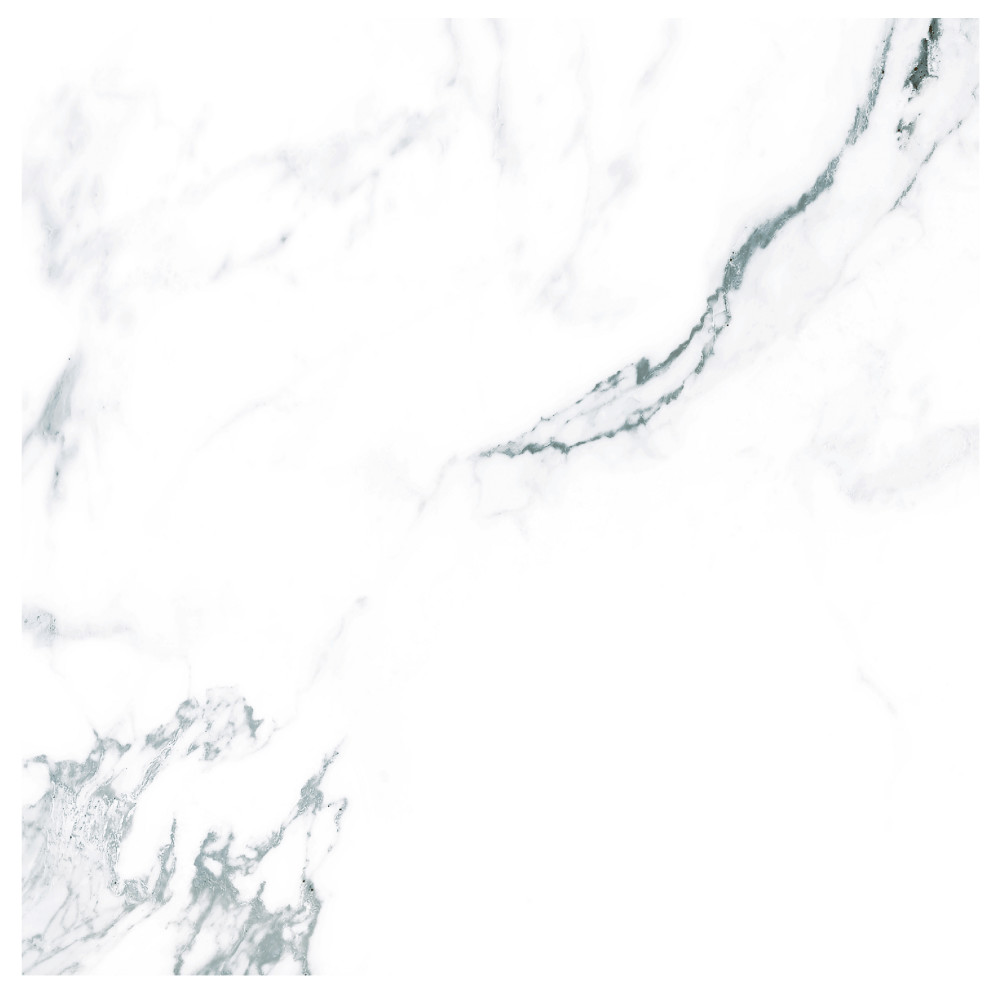 Timeless Calacatta 9-3/4 in. x 9-3/4 in. Porcelain Floor and Wall Tile