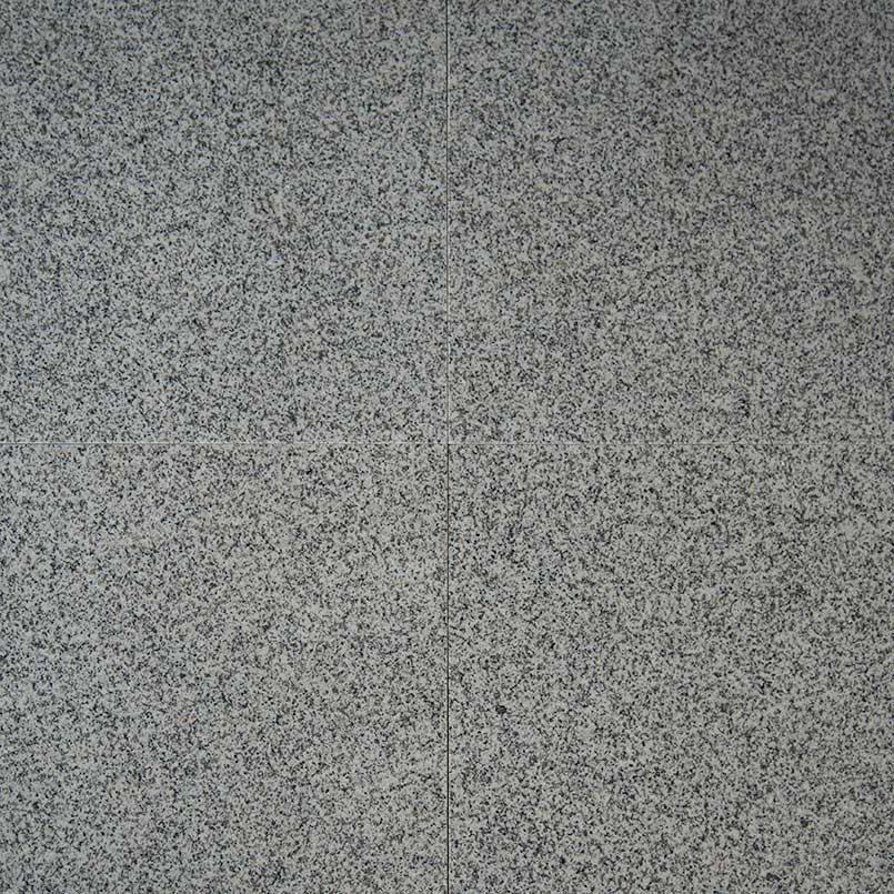 Bianco Catalina 12X12