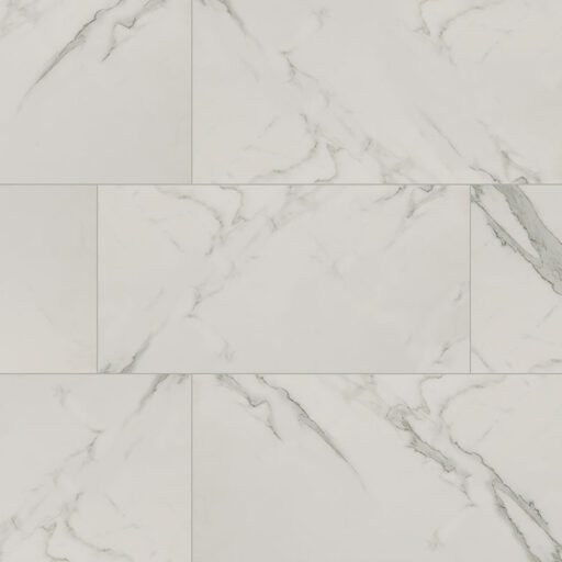 Regallo Calacatta Isla 12X24 Matte