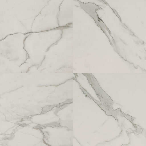 Regallo Calacatta Isla 24X24 Matte