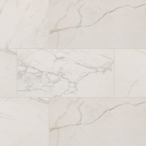 Regallo Calacatta Isla 24X48 Matte