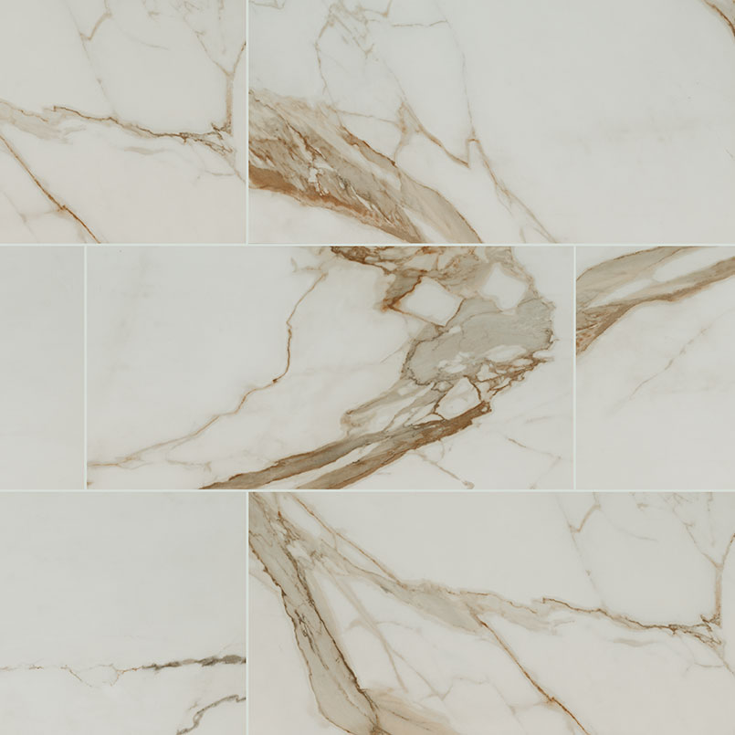 Regallo Calacatta Marbella 24X48 Matte