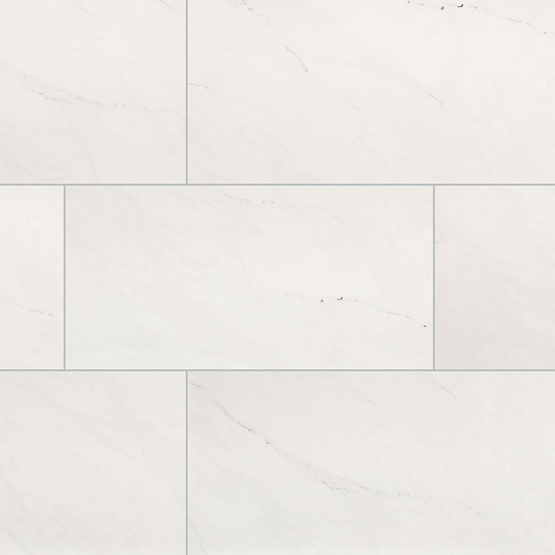 Aria Ice 24X48
