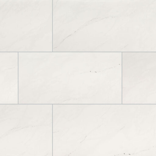 Aria Ice 12X24
