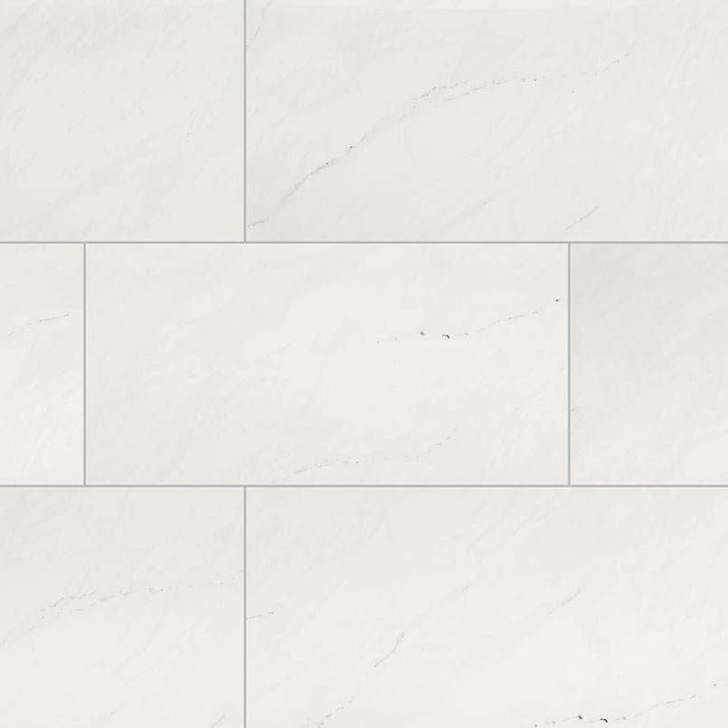 Aria Ice 12X24