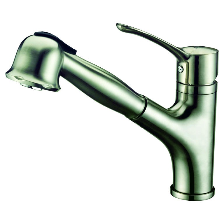Dawn® Single-lever pull-out spray kitchen faucet, Brushed Nickel