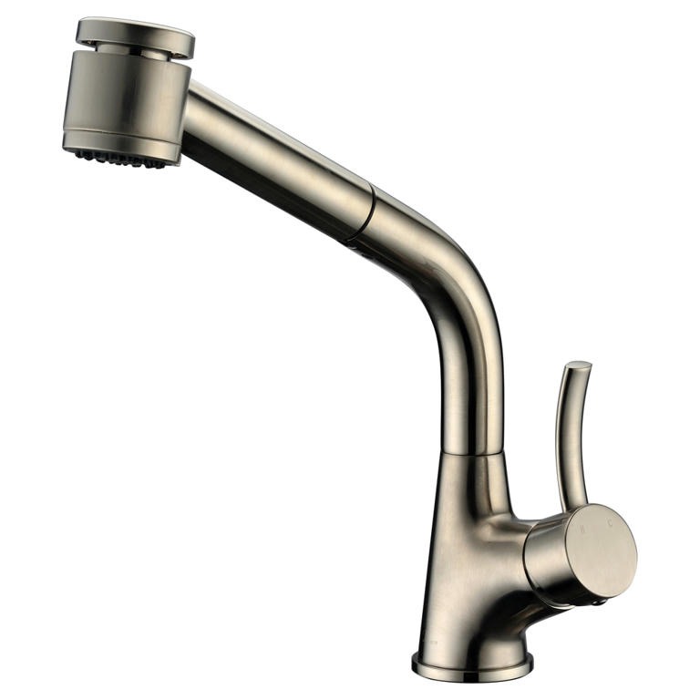 Dawn® Single-lever pull-out spray kitchen faucet, Brushed Nickel