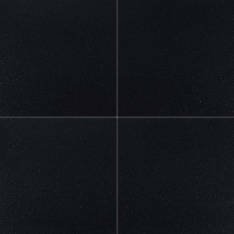 Premium Black 12X12 Honed
