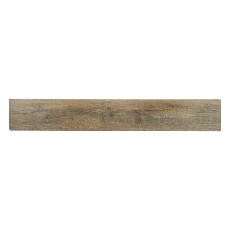 Ashton Maracay Brown 7X48